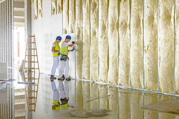 Best Blown-in Insulation in Abilene, TX